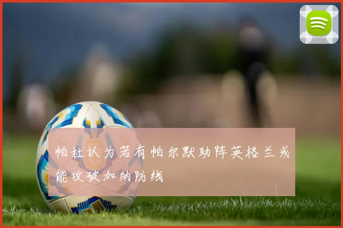 帕杜认为若有帕尔默助阵英格兰或能攻破加纳防线